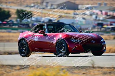 media/Nov-16-2024-Extreme Speed (Sat) [[6587d07cc4]]/Orange Group/Session 1 (Turn 2)/